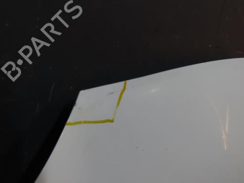 Hood RENAULT KANGOO Express (FW0/1_)  | BP23114574C1