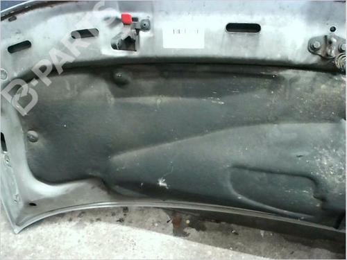 Hood MERCEDES-BENZ VITO Van (W638) 112 CDI 2.2 (638.094) | BP11921317C1