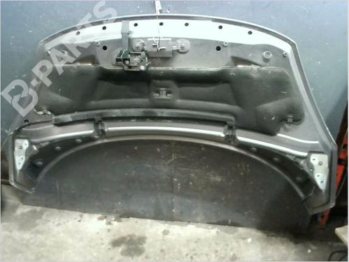 Hood RENAULT SCÉNIC III (JZ0/1_) 1.5 dCi | BP11932682C1