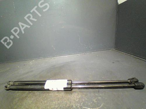 Used Tailgate lift support RENAULT MEGANE III Grandtour (KZ0/1) 1.5 dCi (KZ09, KZ0D, KZ1G, KZ29, KZ14, KZ1W, KZ10, KZ1F,... (110 hp) 14873475