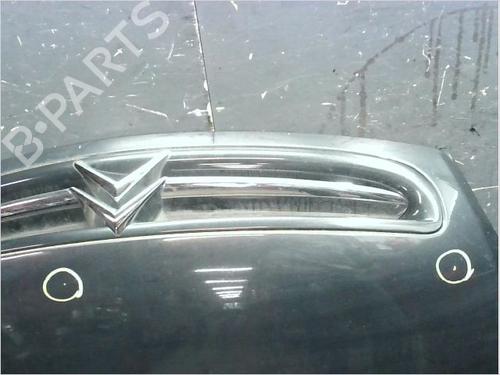 Hood CITROËN XSARA PICASSO (N68) 2.0 HDi | BP13310265C1 