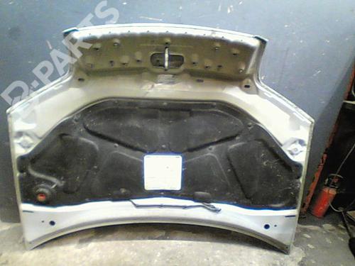 Used Hood FIAT PUNTO (188_) 1.3 JTD 16V (70 hp) 10763915
