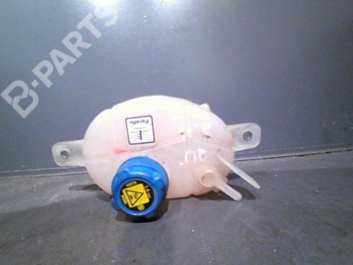 Expansion tank FIAT FIORINO Box Body/MPV (225_) 1.3 D Multijet (225BXD1A, 225BXB1A, 225BXB11) | BP10759259C120