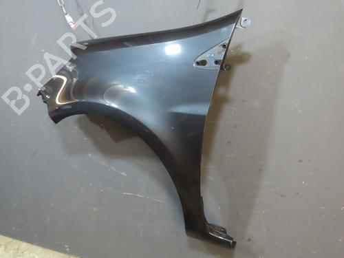 Left front fenders RENAULT CLIO III (BR0/1, CR0/1) 1.5 dCi (BR0H, CR0H, CR1S, BR1S) | BP20493997C41 