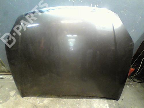 Used Hood FIAT CROMA (194_) 1.9 D Multijet (194AXC1B, 194AXC12) (150 hp) 11211887
