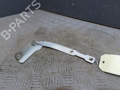 Hinge/Door check strap DACIA LODGY (JS_) 1.6 SCe 100 (JSAV) | BP29494682C146 