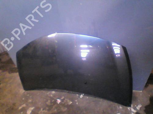 Used Hood RENAULT CLIO III (BR0/1, CR0/1) 1.5 dCi (BR17, CR17) (86 hp) 11211909