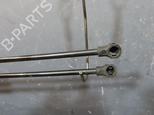 Used Tailgate lift support RENAULT KANGOO / GRAND KANGOO II (KW0/1_) 1.5 dCi 85 (KW0K, KW0L, KW0B) (86 hp) 29759774