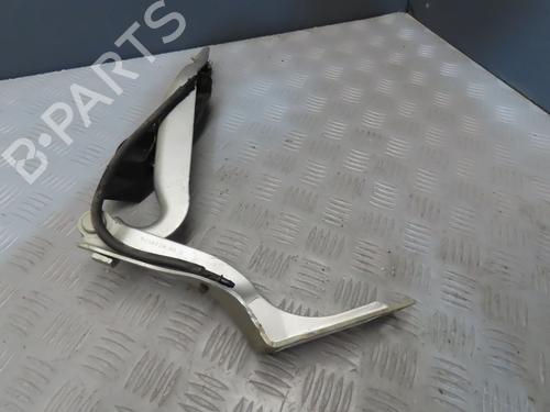 Hinge/Door check strap PEUGEOT 308 I (4A_, 4C_) 1.6 HDi | BP21112961C146 