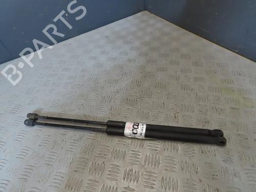 tailgate-lift-support-dacia-sandero-2008-23116051 main image