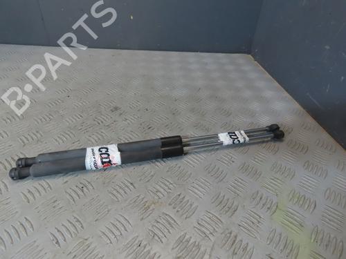 Gassdemper Bakluke RENAULT CLIO III (BR0/1, CR0/1)  | BP29622546C138 