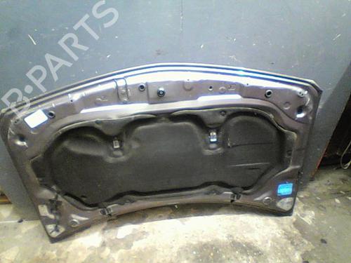 Used Hood RENAULT MEGANE II (BM0/1_, CM0/1_) 1.9 dCi (BM0G, CM0G) (120 hp) 23114532
