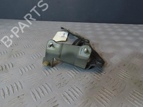 Used Hinge/Door check strap RENAULT SCÉNIC II (JM0/1_) [2003-2010]  23114598