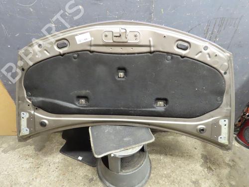 Hood RENAULT CLIO III (BR0/1, CR0/1) 1.5 dCi (C/BR0G, C/BR1G) | BP16361439C1