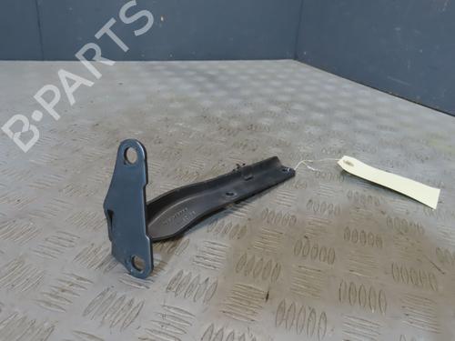 Hinge/Door check strap CITROËN C6 (TD_) 2.2 HDi | BP23114596C146
