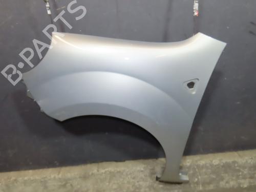 Left front fenders RENAULT KANGOO / GRAND KANGOO II (KW0/1_) 1.5 dCi 85 (KW0K, KW0L, KW0B) | BP29739476C41 