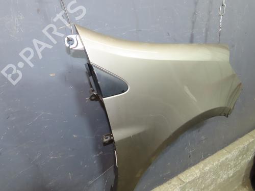 Right front fenders RENAULT CLIO III (BR0/1, CR0/1) 1.5 dCi (C/BR0G, C/BR1G) | BP23979177C42 