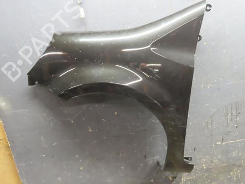 Left front fenders RENAULT MODUS / GRAND MODUS (F/JP0_) 1.2 16V (JP0W) | BP17802255C41 