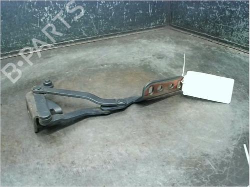 Dørhængsel/Dørbegrænser RENAULT AVANTIME (DE0_) 2.2 dCi (DE01) (150 hp) 14873251