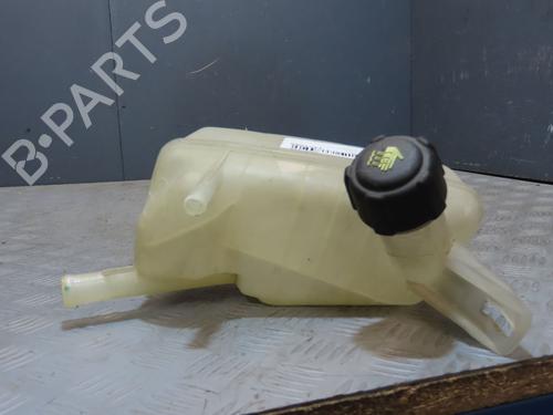 Used Expansion tank RENAULT MEGANE II Estate (KM0/1_) 1.5 dCi (KM1F) (86 hp) 27438349