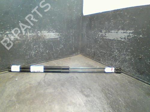 Used Tailgate lift support RENAULT MEGANE III Coupe (DZ0/1_) 1.6 dCi (DZ00, DZ12, DZ2A, DZ13) (130 hp) 14873569