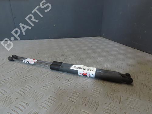 Gassdemper Bakluke RENAULT CLIO III (BR0/1, CR0/1) [2005-2014]  29622546