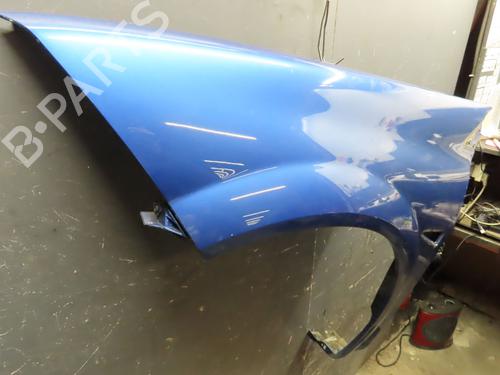 Left front fenders RENAULT MEGANE II (BM0/1_, CM0/1_) 1.5 dCi (BM0F, BM0T, BM2B, CM0F, CM0T) | BP16461274C41 