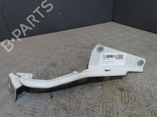 Hinge/Door check strap RENAULT KANGOO Express (FW0/1_) 1.5 dCi 75 (FW07, FW10, FW04) | BP25040428C146 