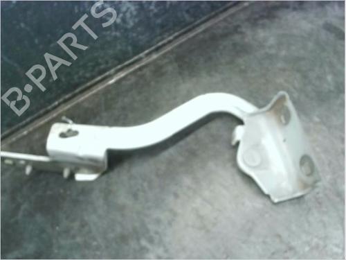 Hinge/Door check strap RENAULT MODUS / GRAND MODUS (F/JP0_) 1.5 dCi (FP0E, JP0E) | BP14979379C146