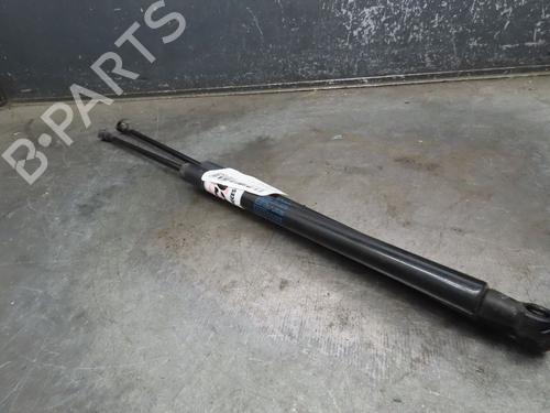 Tailgate lift support CITROËN C4 CACTUS 1.6 BlueHDi 100 | BP16416761C138 