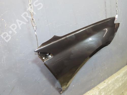Used Right front fenders RENAULT LAGUNA III (BT0/1) 2.0 dCi (BT01, BT08, BT09, BT0E, BT0K, BT12, BT1C, BT1D,... (150 hp) 24991971