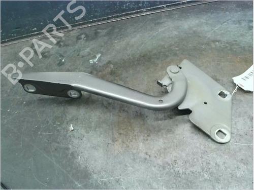 Used Hinge/Door check strap RENAULT MEGANE III Grandtour (KZ0/1) 1.5 dCi (KZ09, KZ0D, KZ1G, KZ29, KZ14, KZ1W, KZ10, KZ1F,... (110 hp) 14873261
