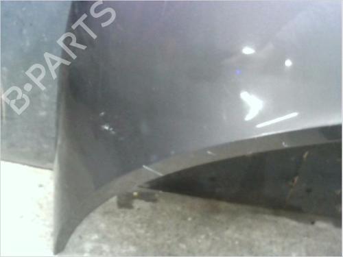 Used Hood RENAULT SCÉNIC II (JM0/1_) 1.9 dCi (JM0G, JM12, JM1G, JM2C) (120 hp) 23114580