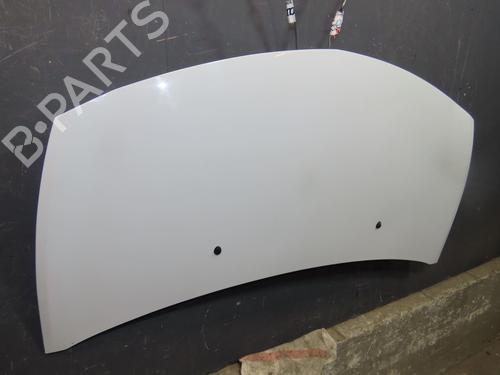 Hood RENAULT CLIO III (BR0/1, CR0/1) 1.5 dCi (C/BR0G, C/BR1G) | BP24534212C1 
