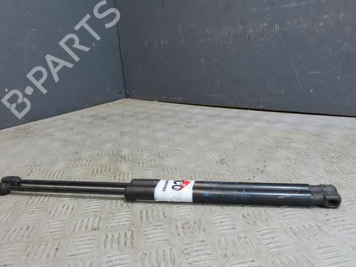 Tailgate lift support RENAULT MEGANE III Grandtour (KZ0/1) 1.5 dCi (KZ09, KZ0D, KZ1G, KZ29, KZ14, KZ1W, KZ10, KZ1F,... | BP29622558C138 