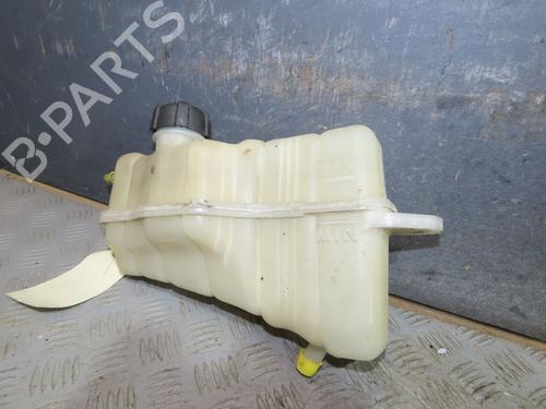 Ekpansionstank Ekpansionstank NISSAN JUKE (F15) 1.2 DIG-T (115 hp) 37455381 37455381