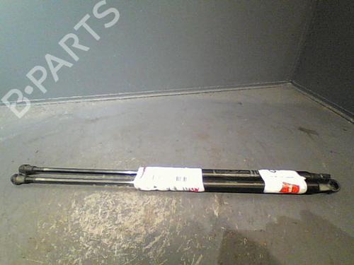 Used Tailgate lift support FIAT 500 (312_) 1.2 (312AXA1A) (69 hp) 14873454