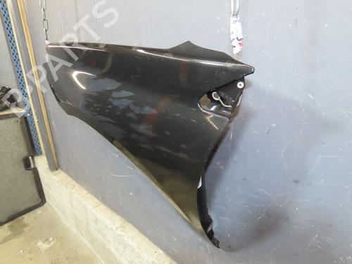 Used Left front fenders RENAULT LAGUNA III (BT0/1) 2.0 dCi (BT01, BT08, BT09, BT0E, BT0K, BT12, BT1C, BT1D,... (150 hp) 24991973