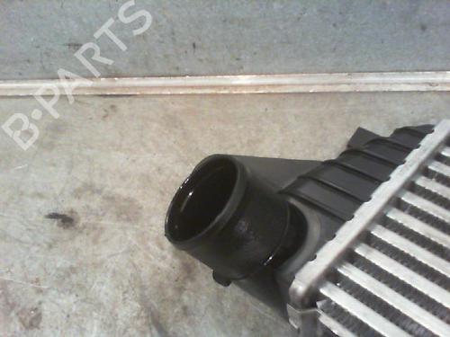 Used Other RENAULT KANGOO (KC0/1_) [1997-2026]  23111575