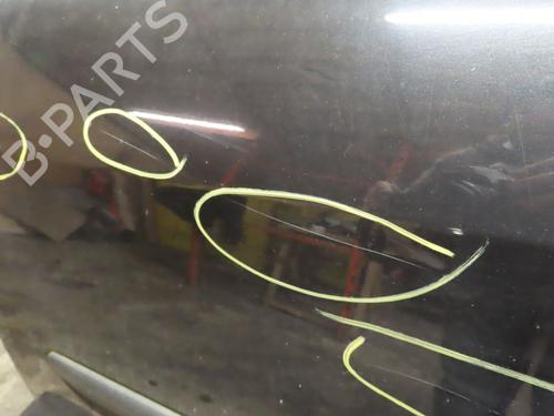 Left front door RENAULT LAGUNA III (BT0/1) 1.5 dCi (BT00, BT0A, BT0T, BT1J) | BP16832843C2 
