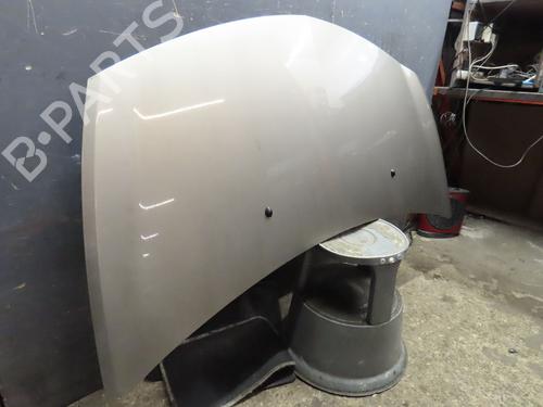 Hood RENAULT CLIO III (BR0/1, CR0/1) 1.5 dCi (C/BR0G, C/BR1G) | BP16361439C1