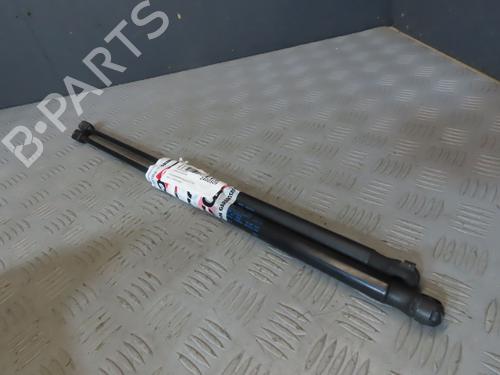 Gassdemper Bakluke VW POLO V (6R1, 6C1)  | BP23116047C138 