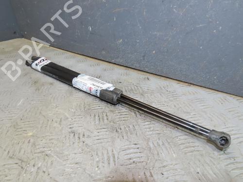 tailgate-lift-support-renault-modus-grand-modus-fjp0_-2004-33633873 main image