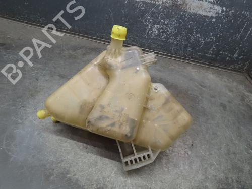 Expansion tank FORD FIESTA VI (CB1, CCN) 1.4 TDCi | BP14978493C120 