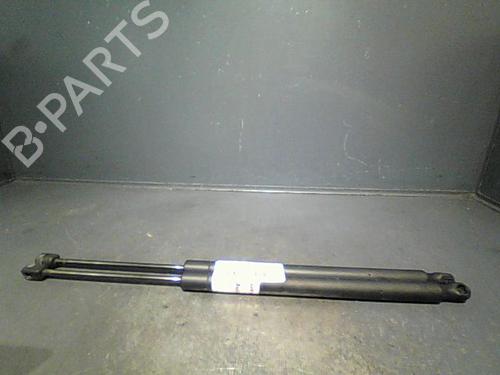 Used Tailgate lift support RENAULT SCÉNIC II (JM0/1_) 1.9 dCi (JM0G, JM12, JM1G, JM2C) (120 hp) 14873489