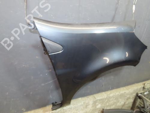 Right front fenders RENAULT CLIO III (BR0/1, CR0/1) 1.5 dCi (BR0H, CR0H, CR1S, BR1S) | BP24832256C42 