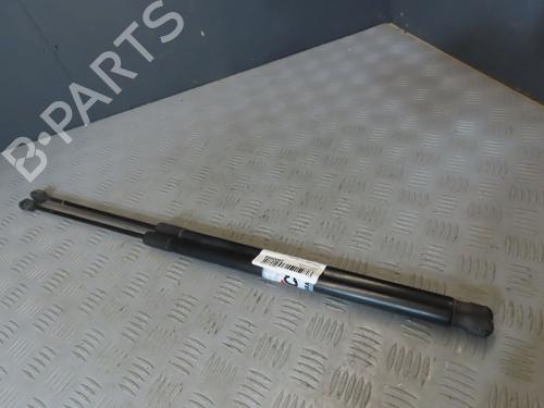Used Tailgate lift support FORD C-MAX II (DXA/CB7, DXA/CEU) 1.6 TDCi (115 hp) 21073914