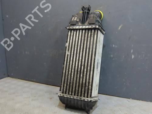 Otra CITROËN C3 III (SX) 1.5 BlueHDi 100 (SXYHYP, SXYHTU) (102 hp) 27245420