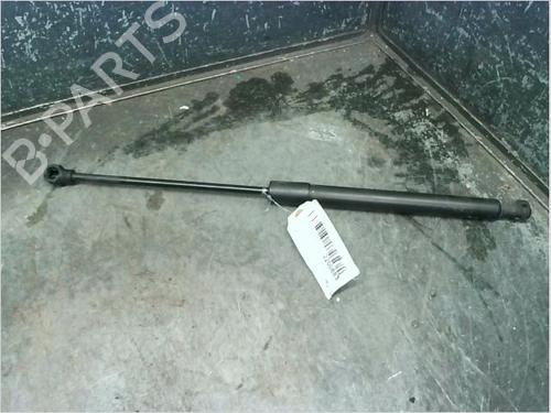 Gasfjeder motorhjelm RENAULT MEGANE IV Hatchback (B9A/M/N_) 1.6 dCi 130 (B9A4) (130 hp) 14873275