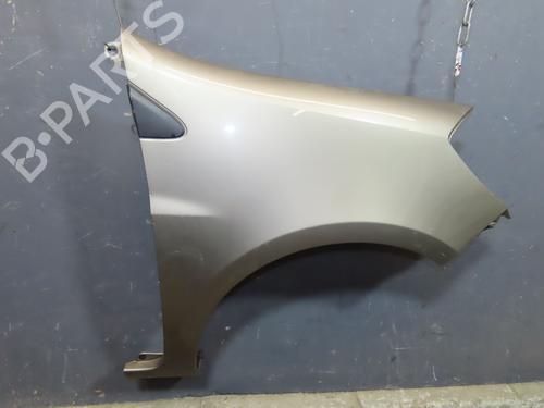 Used Right front fenders RENAULT CLIO III (BR0/1, CR0/1) 1.5 dCi (C/BR0G, C/BR1G) (68 hp) 23979177